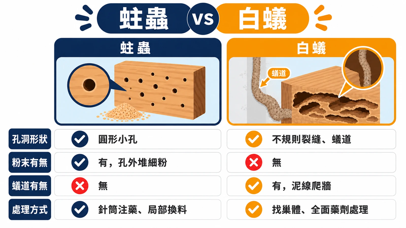 蛀蟲與白蟻對照圖：蛀蟲是圓形小孔加孔外細粉，白蟻是不規則蟻道與泥線爬牆